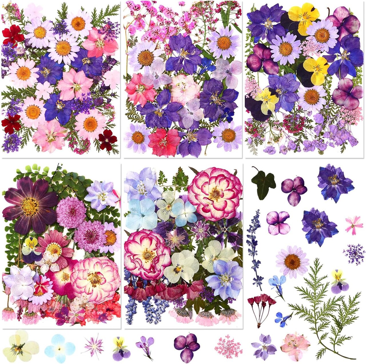 167PCS Real Dried Pressed Flowers – Natural Colorful Daisy & Mixed Wildflowers for DIY Resin, Candle, Jewelry, Nails, Pendants, Scrapbooks, and Floral Crafts (Purple, Elegant Style)